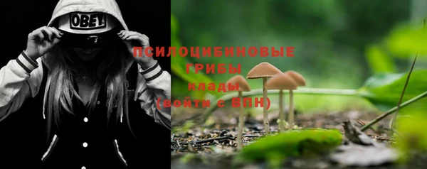крисы Верхний Тагил